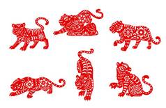 黄道带虎,中国占星术中的头虱图标.野虎的红色纸片星座符号，装饰有东方纸制装饰品、月历和占星术符号