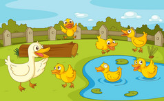 鸭在池塘