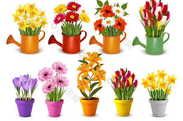 在水壶和水壶中收藏了五彩缤纷的春花和夏花.B.