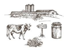 一个有牛棚，谷物升降机，奶牛，牛奶罐，木制标志，一束鲜花的农场.