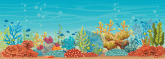 水下珊瑚礁和鱼类.