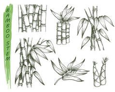 一套孤立的竹杆草图