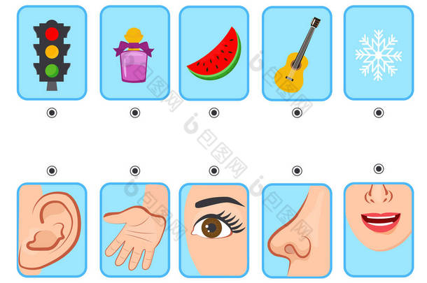 给孩子玩的游戏卡卡。五种感觉。视觉，触摸，听觉，嗅觉和味觉。学前教育工作表的活动。感官和物体的匹配