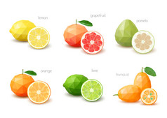 多边形的柑橘类水果-柠檬、 葡萄柚、 柚子、 红毛猩猩一套