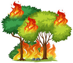 被隔绝的树在火例证