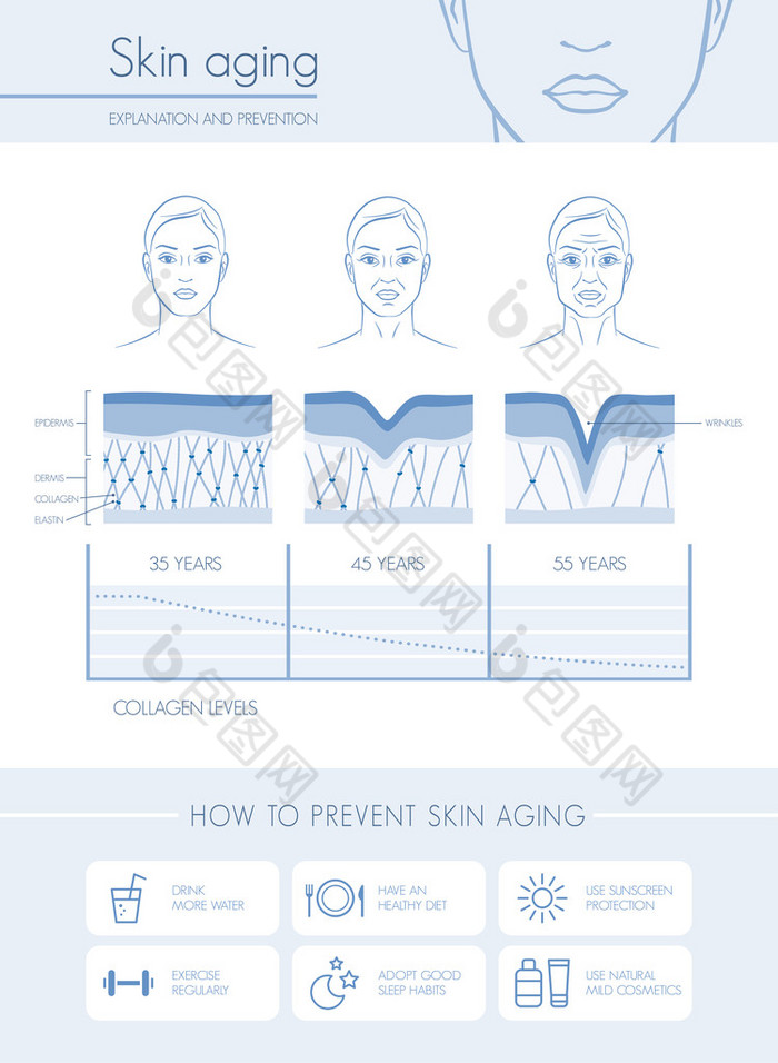 皮肤老化图和阶段