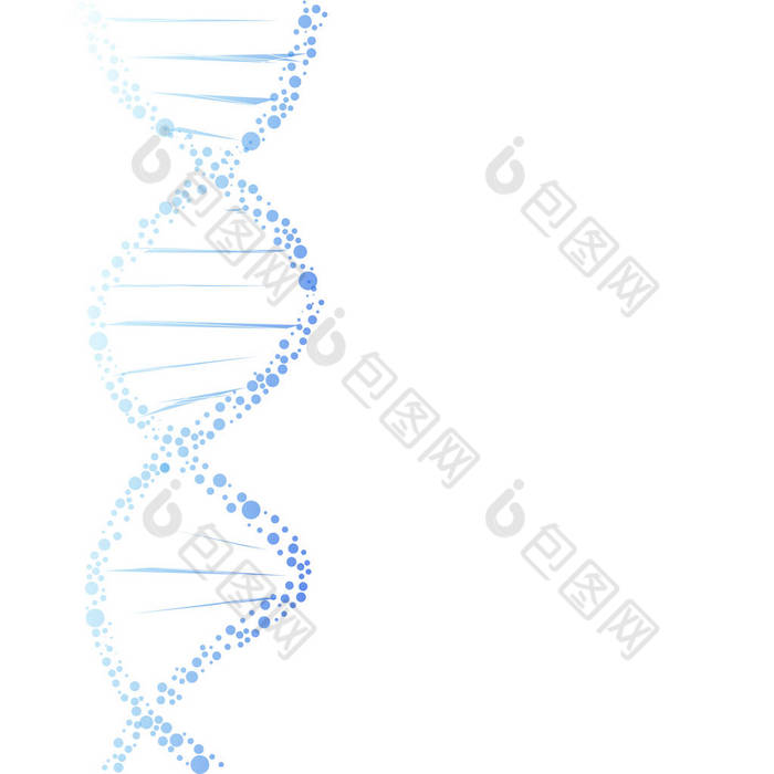 dna 分子的结构