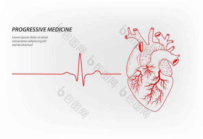 作为标语、小册子、名片和网站的渐进式医学模式，健康的人的心脏在跳动。脉动负责生命的内部器官的脉动心脏病的治疗.