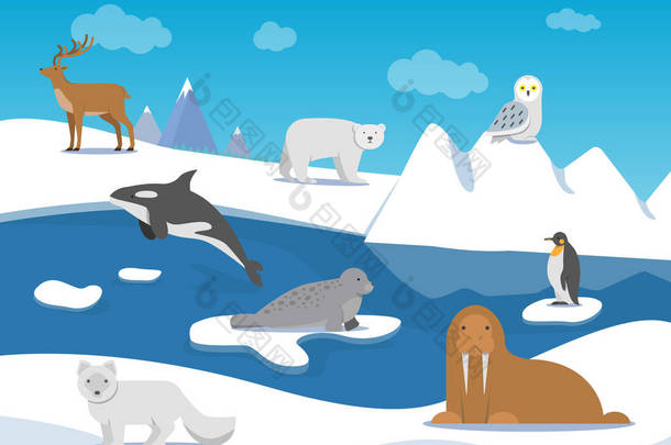 北极景观与不同的极地动物