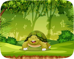 丛林主题设置中的海龟