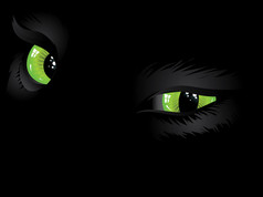 绿色猫眼睛在黑暗中