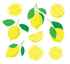 收集柠檬与叶子和柠檬片被隔绝在白色背景。设计元素.