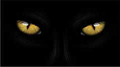黄色的眼睛黑豹 