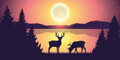 两只驯鹿在湖边，晚上满月和星空自然景观