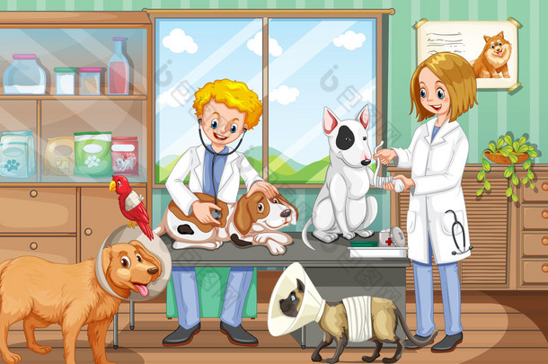 两个兽医在动物医院工作