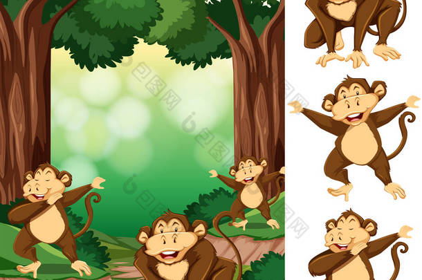 森林中的猴子群