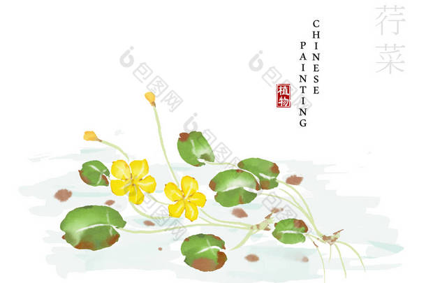 水彩<strong>中</strong>国水墨画艺术插图自然植物从《诗经》<strong>中</strong>。<strong>中</strong>文单词的翻译： 植物和尼姆菲<strong>德</strong>