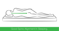 好脊柱排列在睡觉.