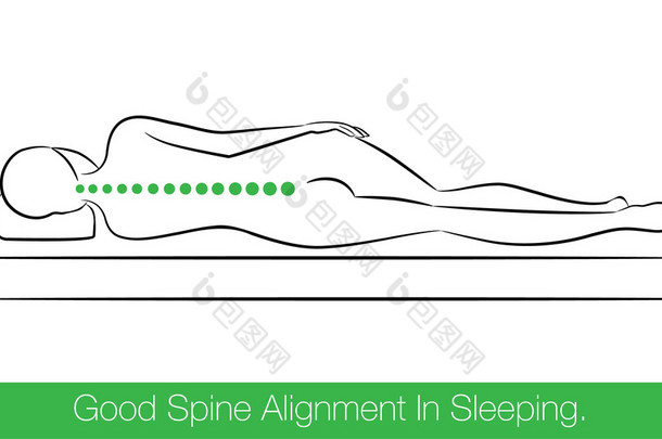 好脊柱排列在睡觉.