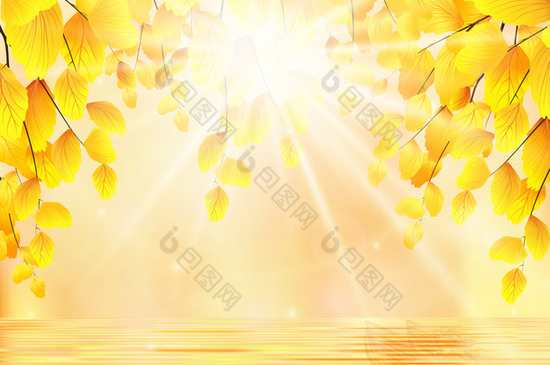 秋天。树枝、 金黄的叶子和水