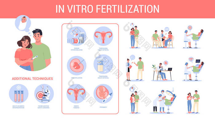 体外受精分步进行。不孕症的概念