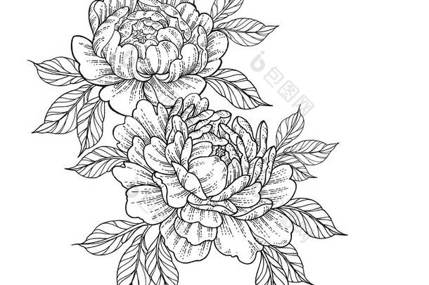 牡丹花在日本纹身风格手绘的花黑白花卉元素
