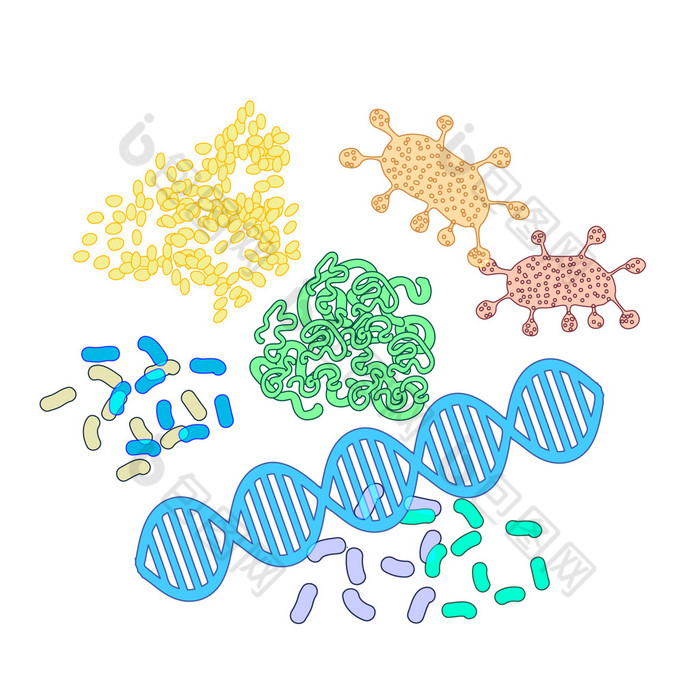 蛋白质分子的结构