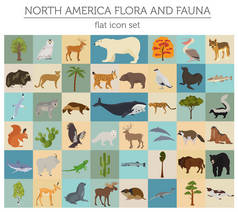 北美洲植物群和动物群扁平元素。动物、鸟类和 