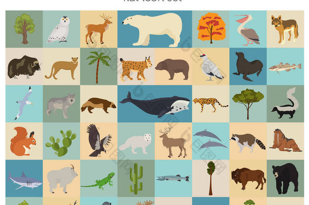 北美洲植物群和动物群扁平元素。动物、鸟类和 