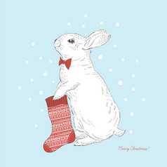 可爱的小兔子，与圣诞袜子