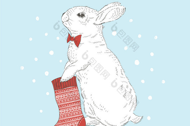 可爱的小兔子，与圣诞袜子