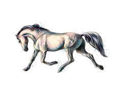 马从水彩的飞溅中疾驰而过。手绘素描