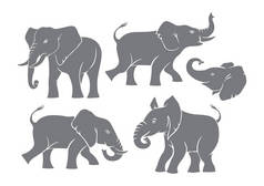 灰色的大象的剪影