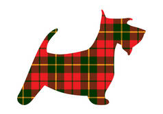 苏格兰猎犬格子状纹理格子红色样式