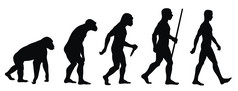 进化