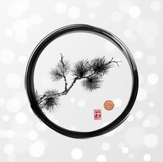 松树枝在 enso 循环