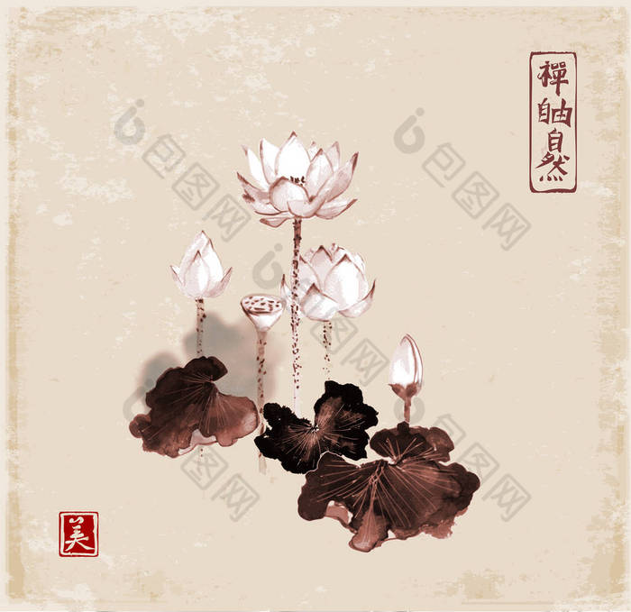 传统东方白莲花