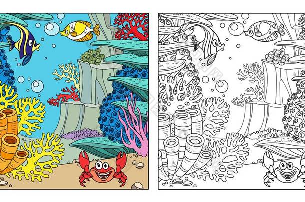 海底世界，有鱼类、螃蟹、珊瑚和海葵的颜色和白底着色页的轮廓