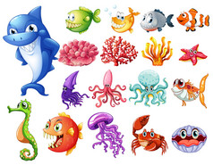 海洋动物集