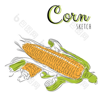 玉米手绘作曲.图片