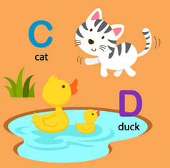 图孤立字母表字母 C-猫，D 鸭