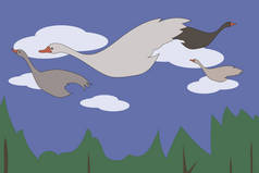 鹅天鹅白色灰色与红色喙飞行通过蓝色天空与白云在绿树林上