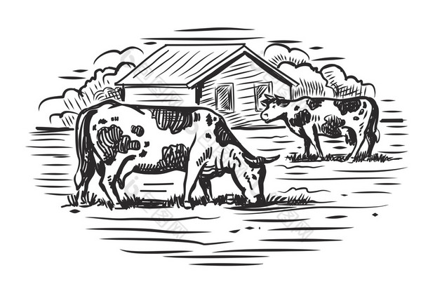 牛和农场
