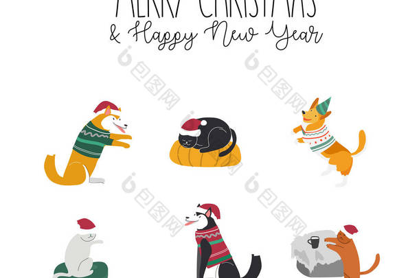 一套家养宠物，穿着圣诞服装，配饰和针织毛衣。 喜庆寒假季节图解及新年排字