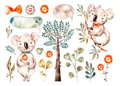 可爱的考拉宝宝澳大利亚水彩画动物、热带树、树叶.