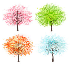 四个季节 — — 春天，夏天，秋天，冬天。艺术树的美丽