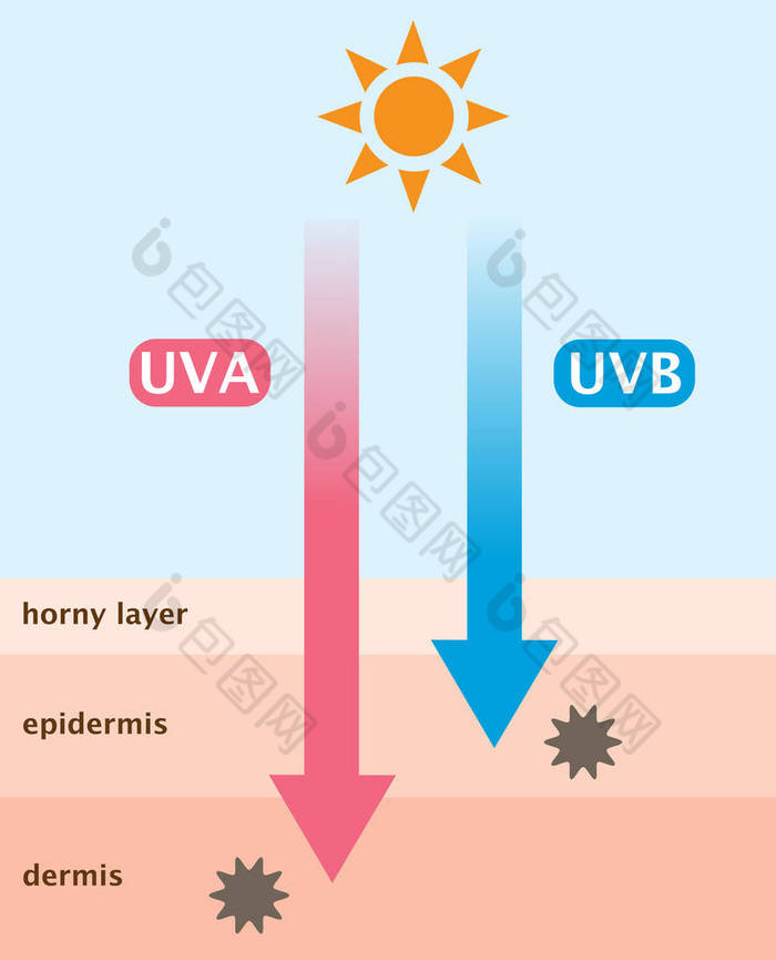 Uva 和 Uvb 辐射 