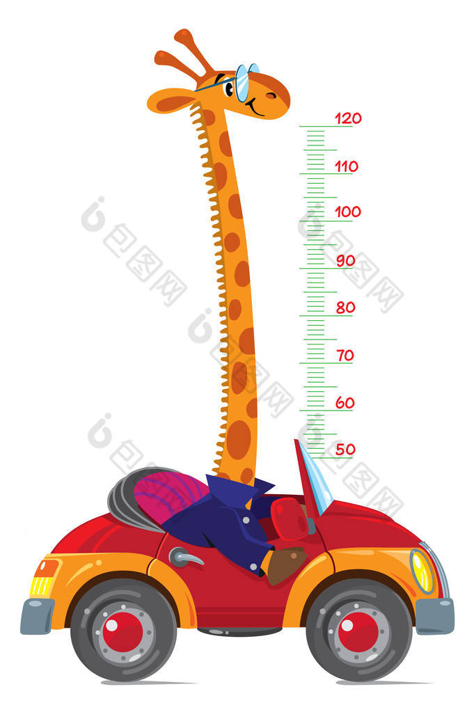在车上的长颈鹿。米墙或高度图