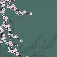 日本樱花粉色背景上的插图