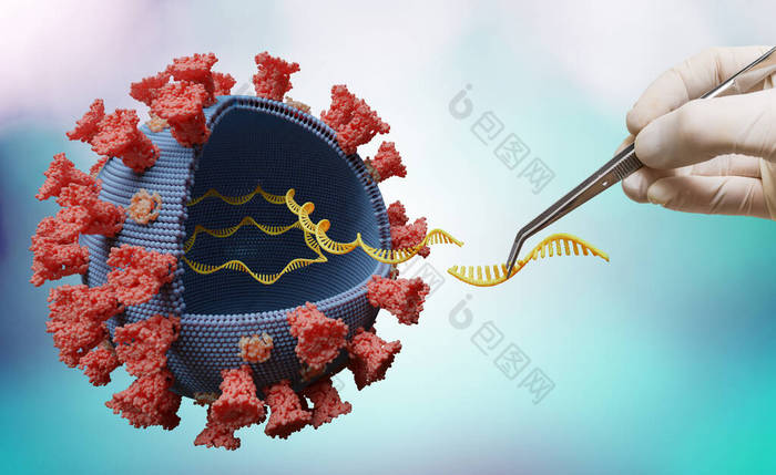 科学家正在实验室对病毒RNA中的基因进行修饰。生物学和病毒遗传学概念.